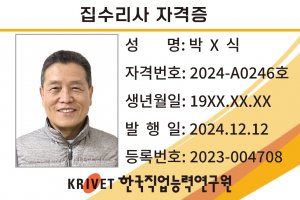 집수리사 246호