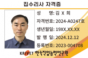 집수리사 247호