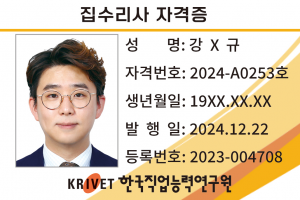 집수리사 253호