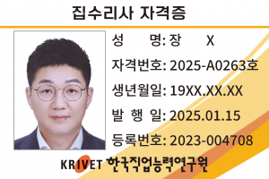 집수리사 263호