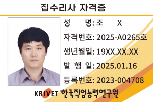 집수리사 265호