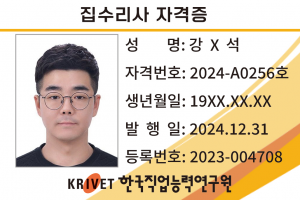 집수리사 256호