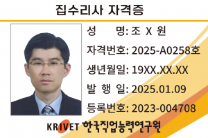 집수리사 258호