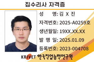 집수리사 259호