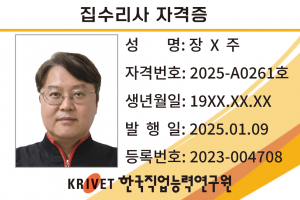 집수리사 261호