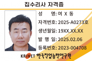 집수리사 273호