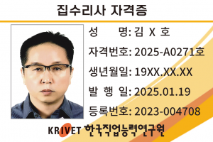 집수리사 271호