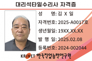 17호