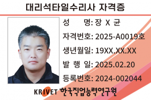 19호