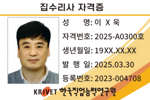 집수리사 300